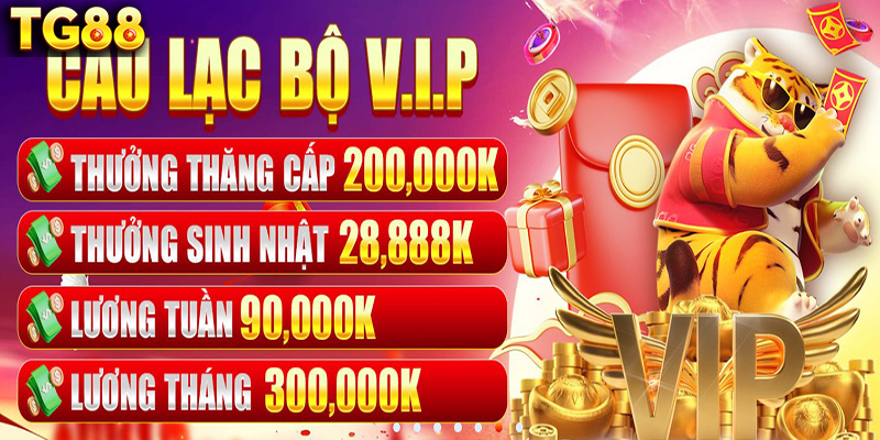 Top nhà cái TG88 - Top 5 nhà cái an toàn hàng đầu hiện nay